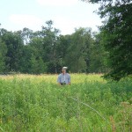 man surveying in high grass